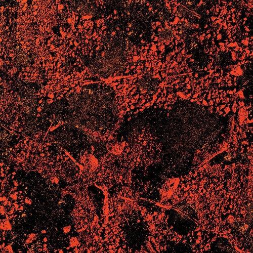 King Gizzard and the Lizard Wizard- Murder Of The Universe (Live At Red Rocks 2022)