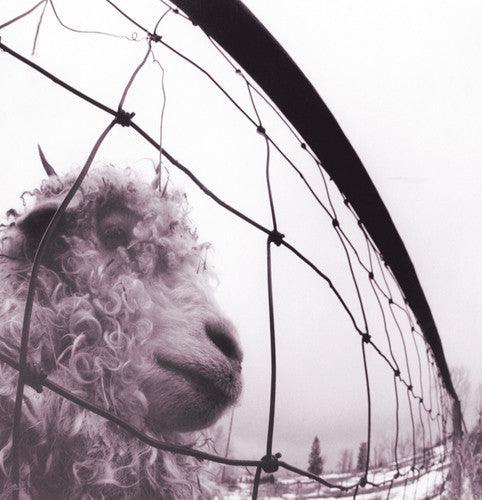 Pearl Jam- Vs.