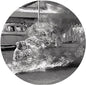 Rage Against the Machine- Rage Against The Machine (20th Anniversary Ed) (Pic Disc)