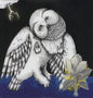 Songs: Ohia- Magnolia Electric Company Co