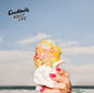 Cocktails- Adult Life