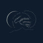 Elephant Micah- Vague Tidings