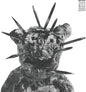 Judgitzu- Sator Arepo