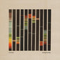 In the Pines- Painting By Numbers - Orange