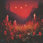 The Silent Planet- Superbloom