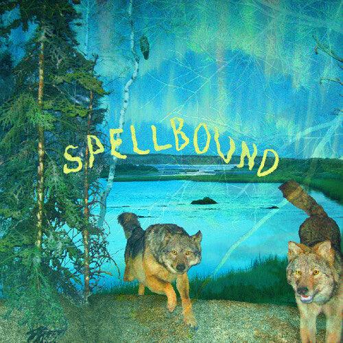 Boyscott- Spellbound
