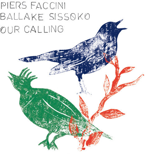 Piers Faccini- Our Calling