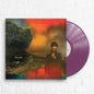 Sharon Van Etten- We're Going About This All Wrong