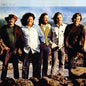The Turtles- Turtle Soup