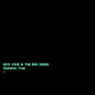 Nick Cave- Skeleton Tree