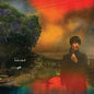 Sharon Van Etten- We've Been Going About This All Wrong (Marbled Smoke Vinyl)